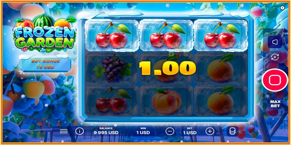 Spelslot Frozen Garden