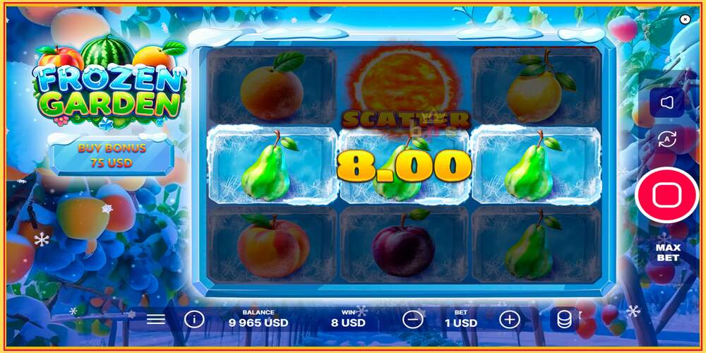 Spelslot Frozen Garden