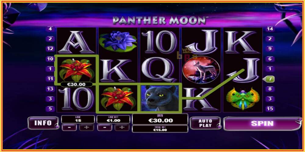 Spelslot Panther Moon