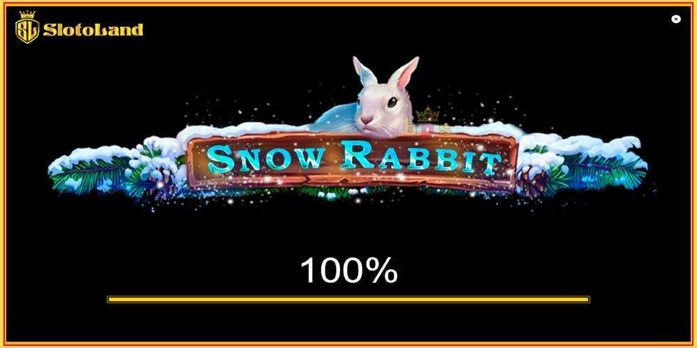 Spelslot Snow Rabbit