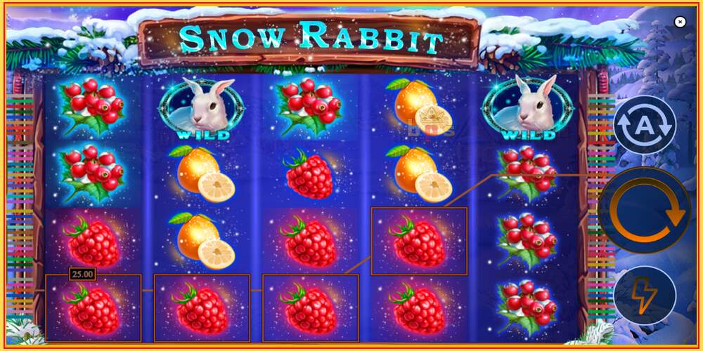 Spelslot Snow Rabbit