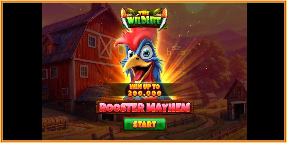 Spelslot Rooster Mayhem