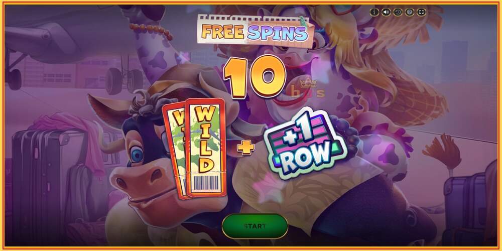 Игровой слот Ticket To Wild