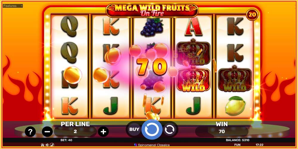 Игровой слот Mega Wild Fruits - On Fire