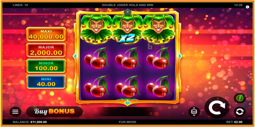 Игровой слот Double Joker Hold and Win