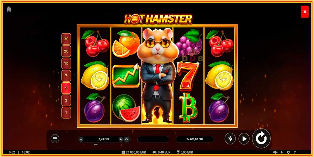 Игровой слот Hot Hamster