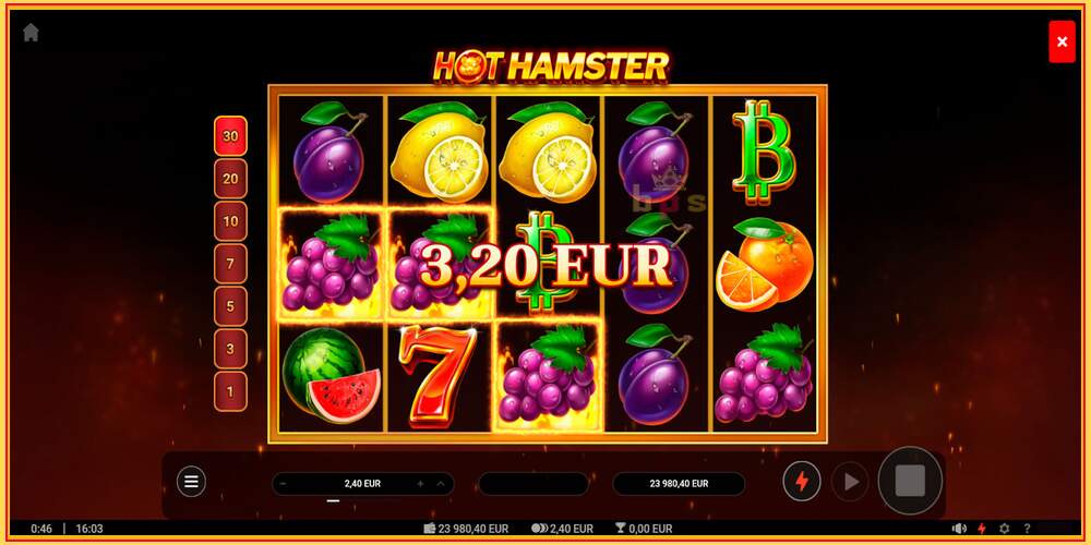 Игровой слот Hot Hamster