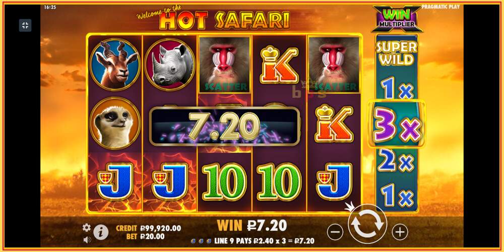 Játék slot Hot Safari