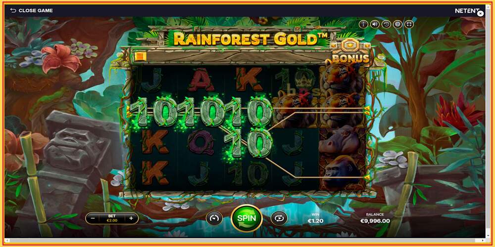 თამაშის სლოტი Rainforest Gold