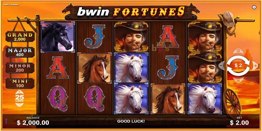 Игровой слот Bwin Fortunes