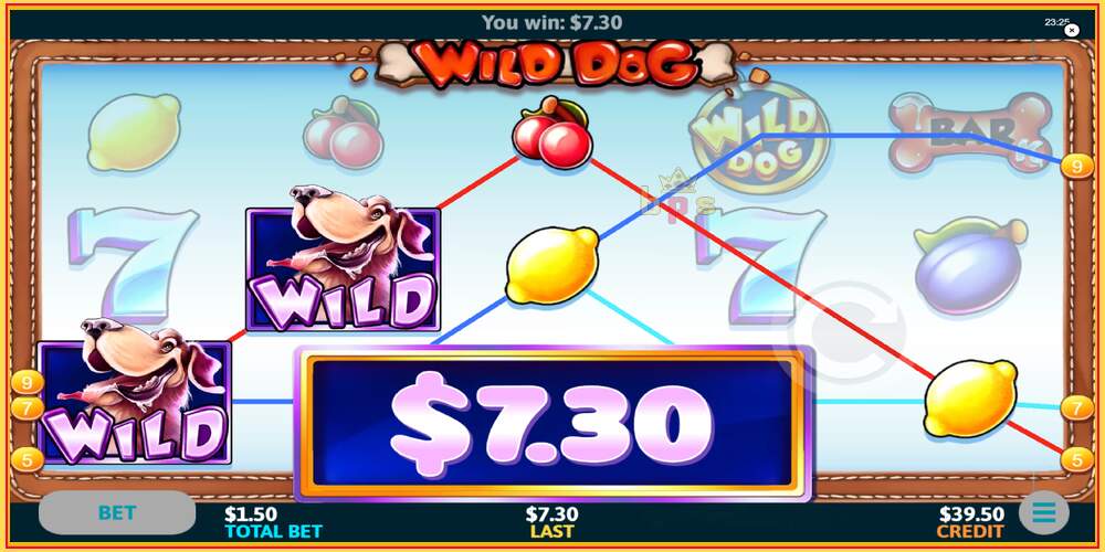 Game slot Wild Dog