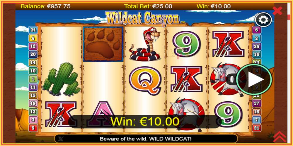 Игровой слот Wildcat Canyon