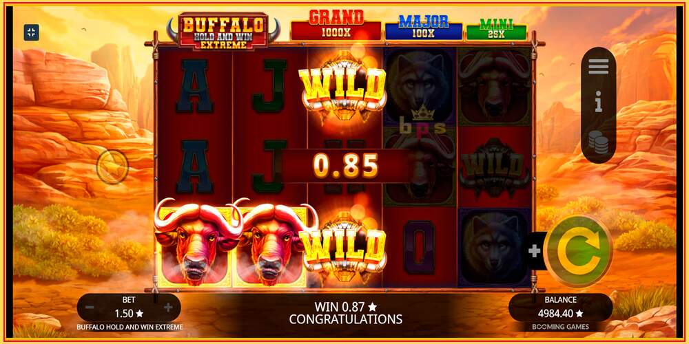 Khe trò chơi Buffalo Hold and Win Extreme