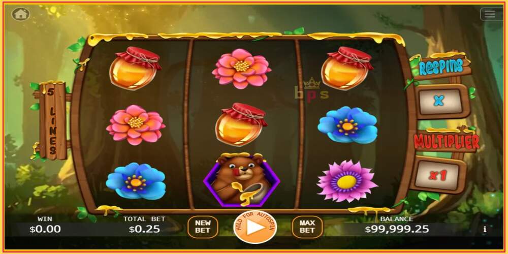 Spelslot Honey Money