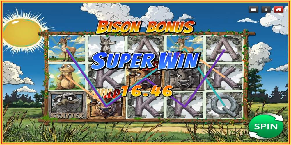 Spelslot Bison Bonus