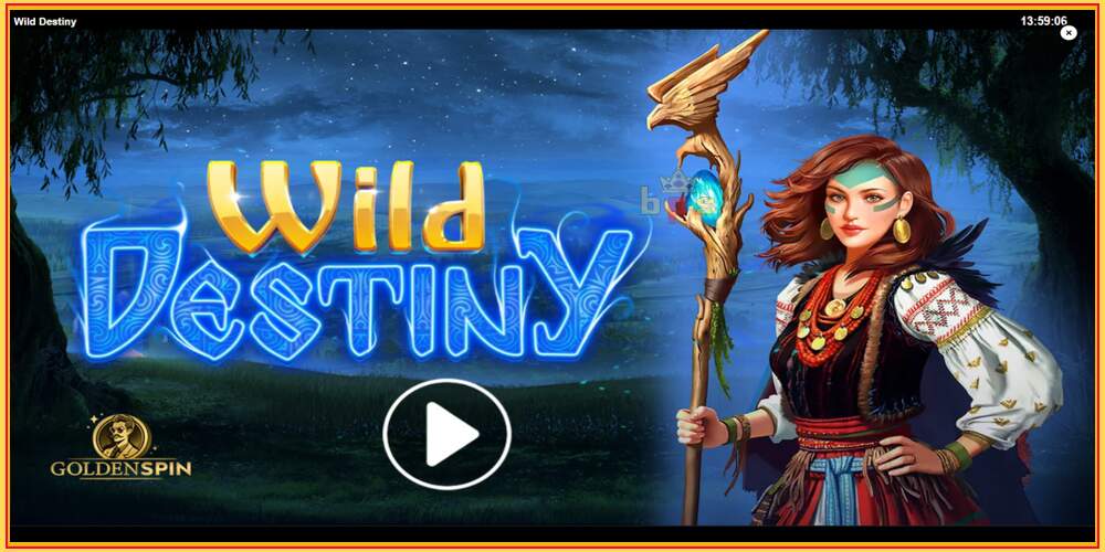 Игровой слот Wild Destiny