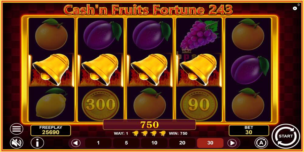 Pelipaikka Cashn Fruits Fortune 243