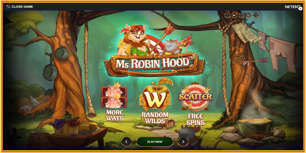 Игровой слот Ms Robin Hood