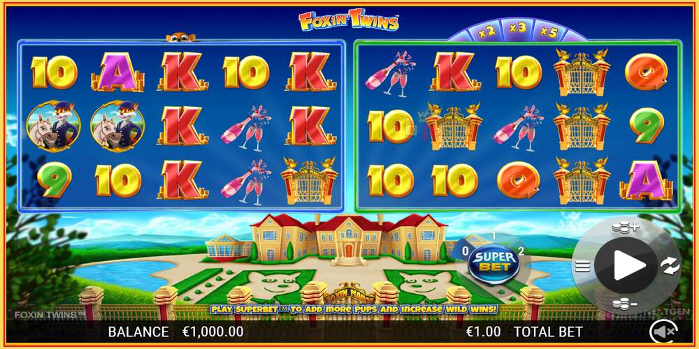 Spelslot Foxin Twins