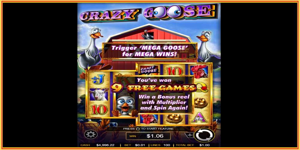 Игровой слот Crazy Goose