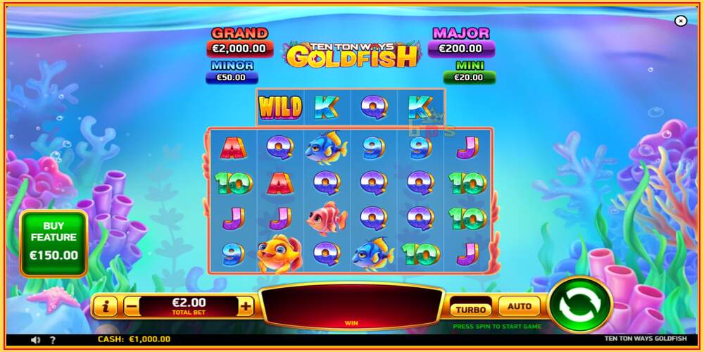 Pelipaikka Ten Ton Ways Goldfish