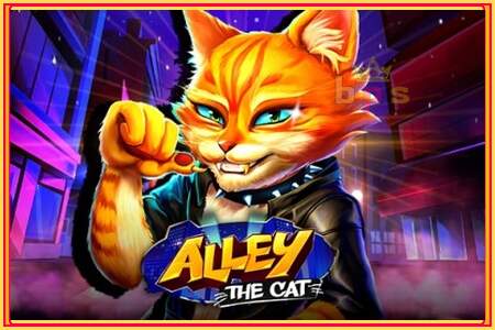 Alley the Cat