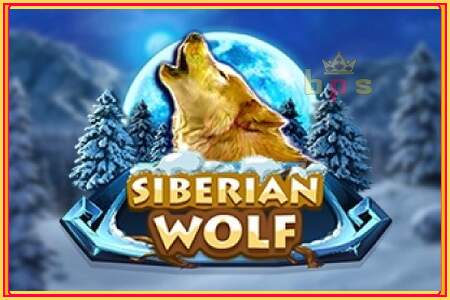 Siberian Wolf