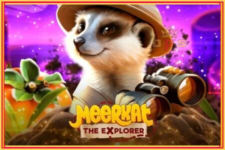 Meerkat