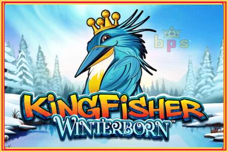 Kingfisher Winterborn