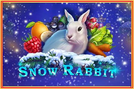 Snow Rabbit